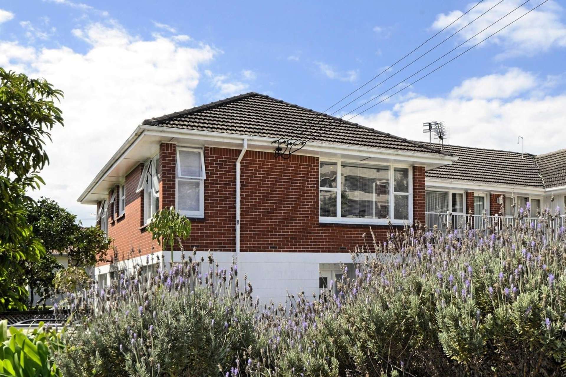 3/15 View Road Mount Eden_0