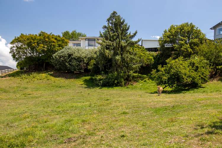 852 Bond Road Te Awamutu_18