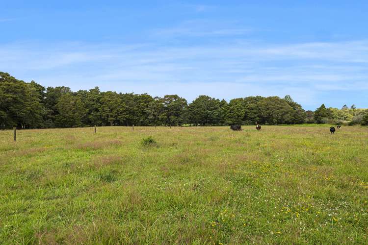 453 Pigs Head Road Hukerenui and Surrounds_19