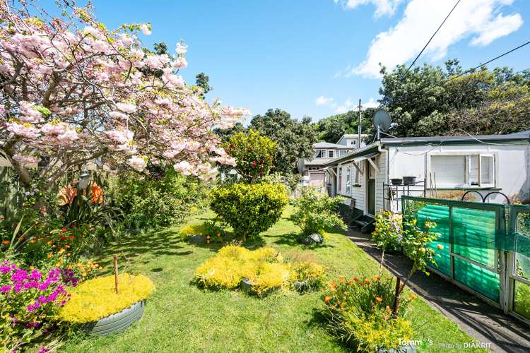 70 Happy Valley Road Owhiro Bay_13