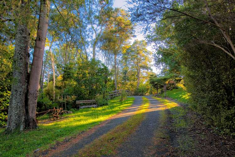 34 Macwhinney Drive Drury_7