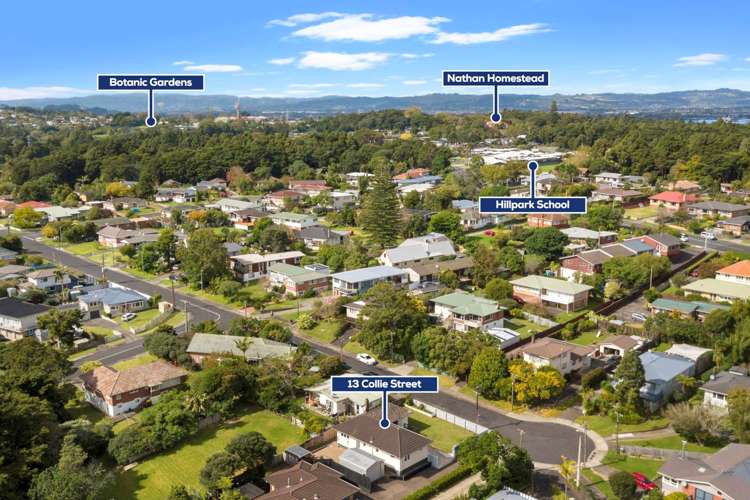 13 Collie Street Hillpark_16