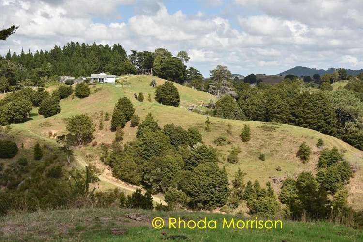 280 Central Road Mareretu_43