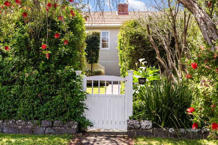 233 Campbell Road Greenlane_19