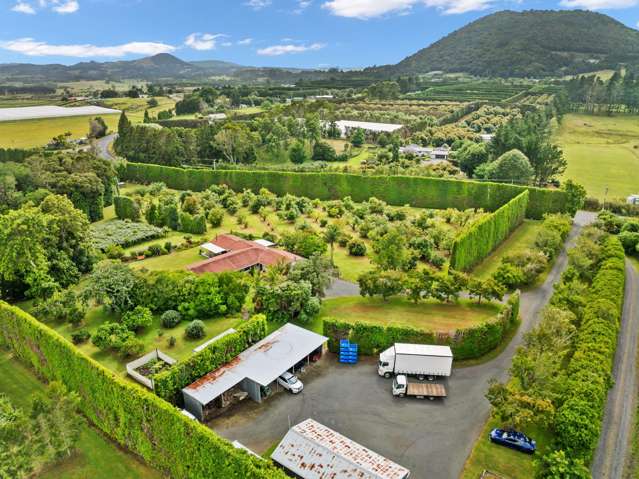 1614 State Highway 14 Maungatapere_4