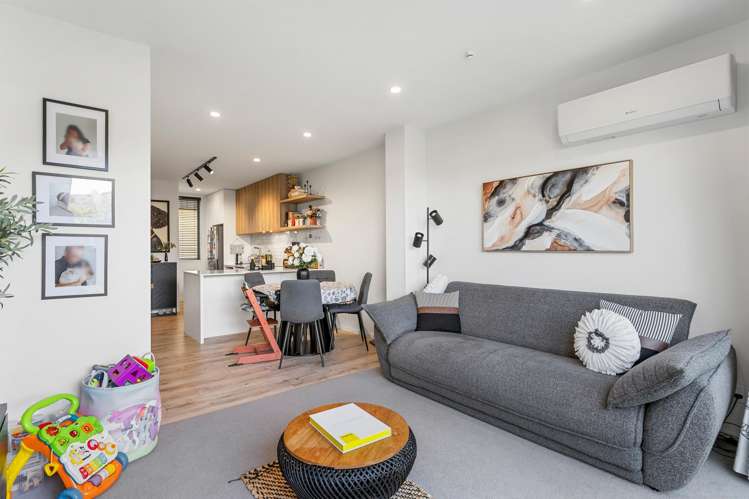 14 Ara Toutouwai Karori_4