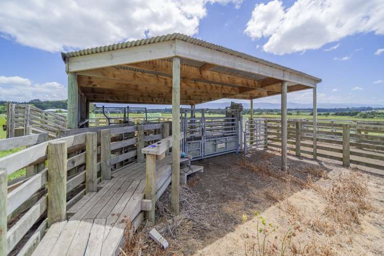 235 Otope Road Dannevirke_17