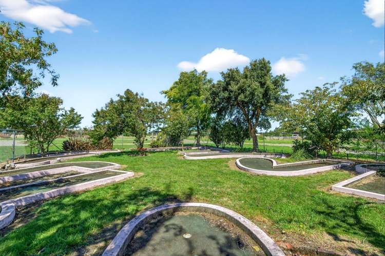 3258 SH2 Carterton_24