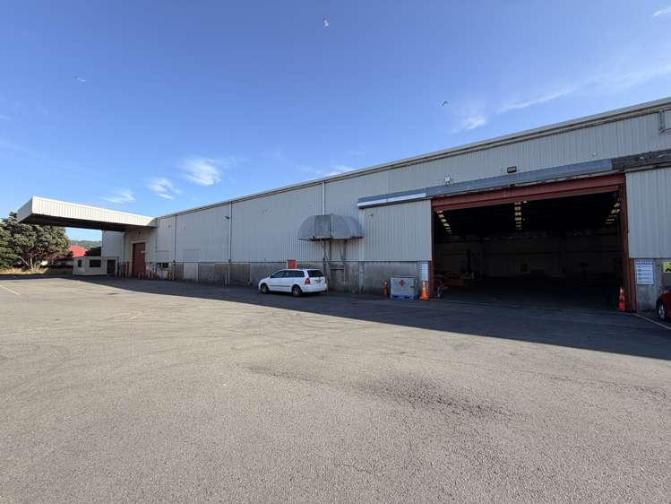 476 Jackson Street Petone_5