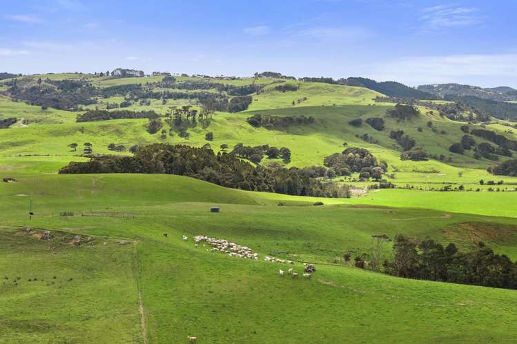 2 Mabbett Lane Waimauku_17