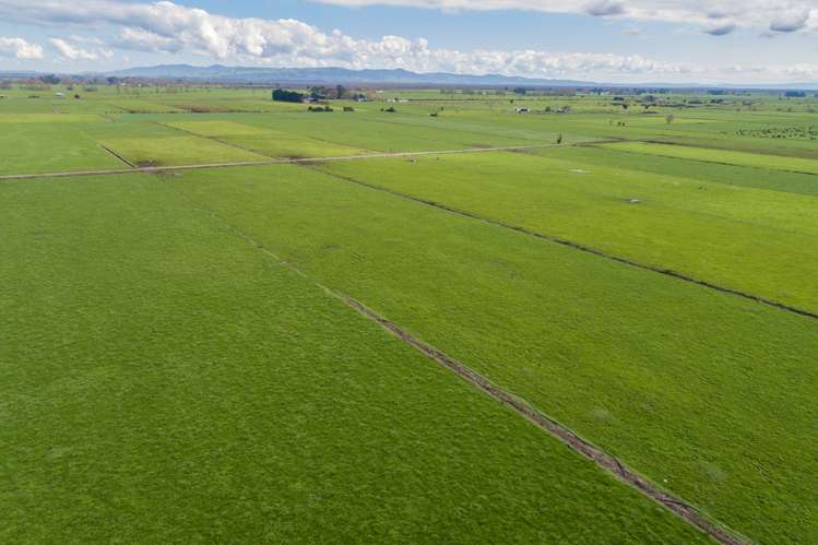 227 Endowment Road Te Aroha_3