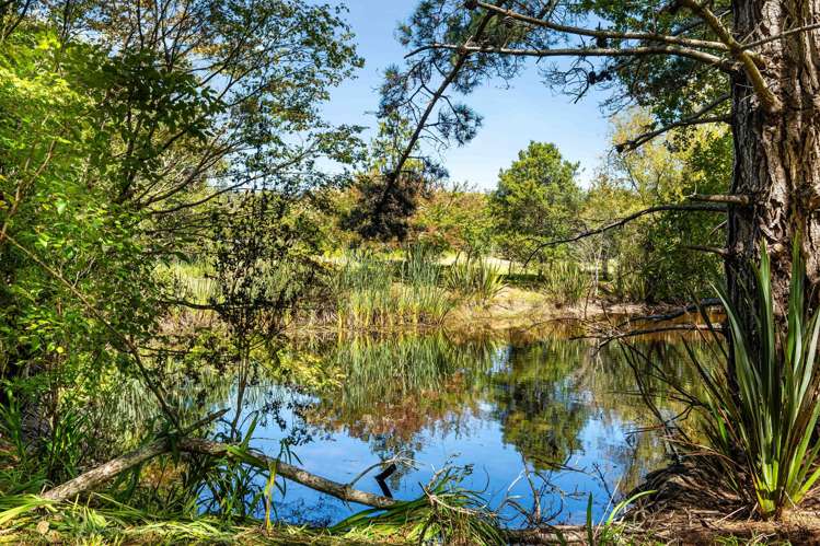 26 Slowater Lane Puhoi_19