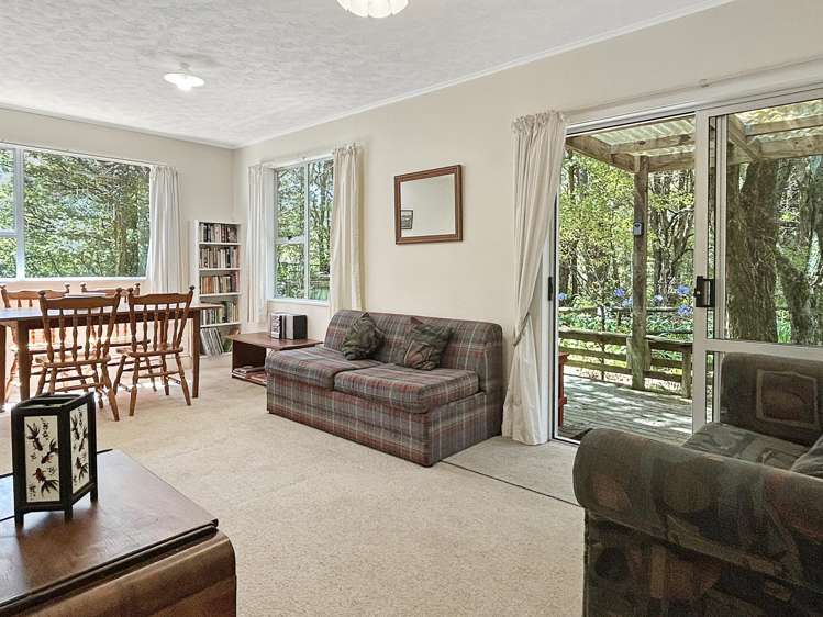 56 Totara Avenue Collingwood_17