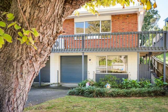 6 Glasgow Terrace Feilding_3