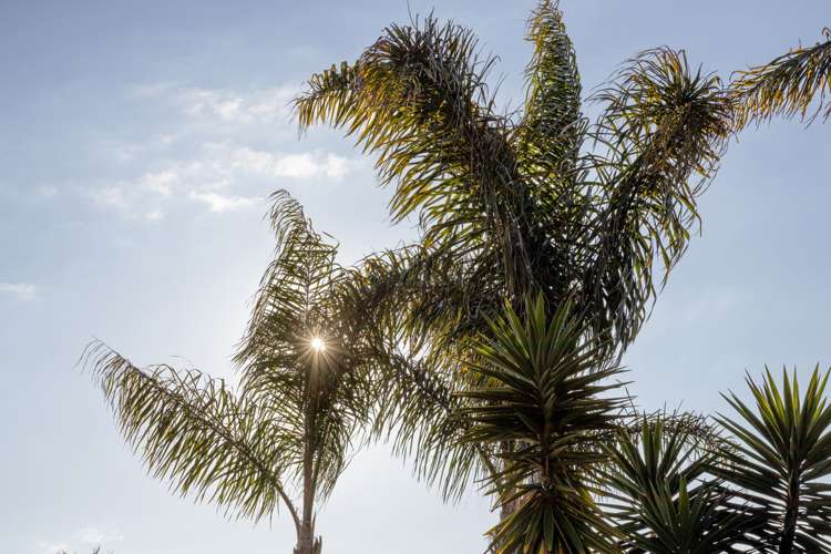 21 Ventura Key Papamoa_6