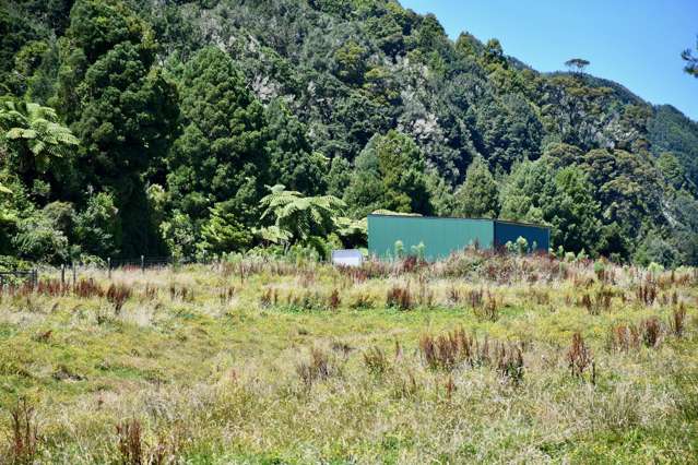 1/Lot 1 Kongahu Road Little Wanganui_1