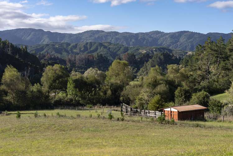 504 Riwaka-Sandy Bay Road Kaiteriteri_33