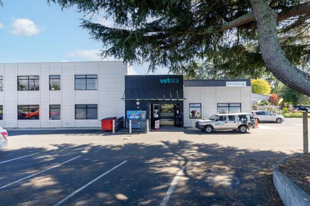 57 Shakespeare Street Cambridge_2