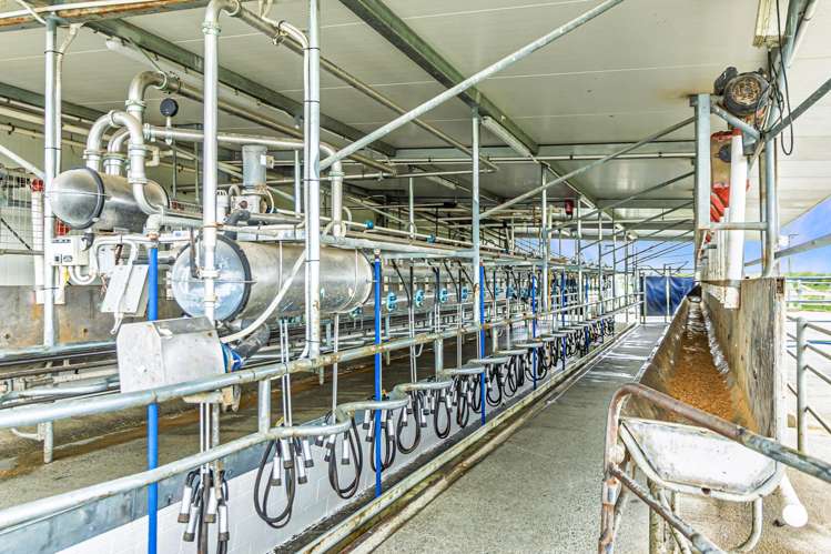 1375 Ashburton Staveley Road Ashburton Forks_13