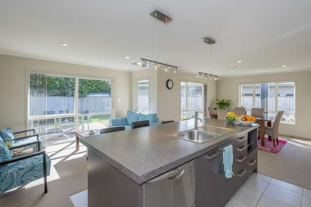 12 Ahmad Close Levin_4