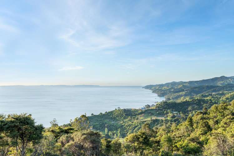 98 Tapu Rise Heights Tapu_7