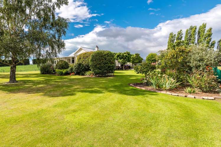 357 Hook School Road Makikihi_20