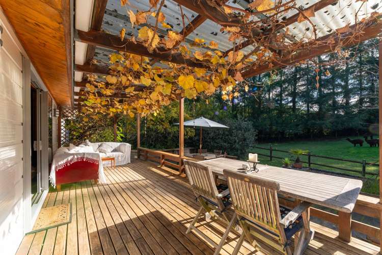 175 Forest Road Oruanui_12