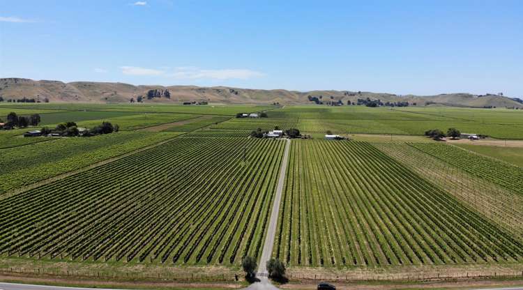 2061 Maraekakaho Road Central Hawkes Bay Coastal_20