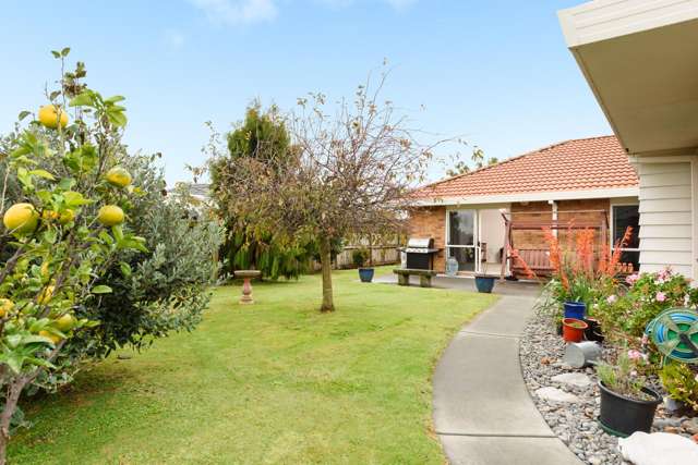 102 Grenada Street Mount Maunganui_1