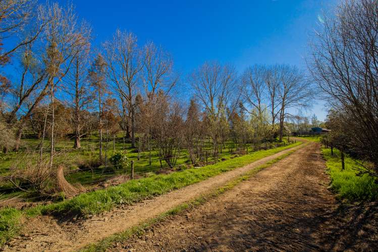 3629 State Highway 2 and Coxhead Road Mangatarata_12