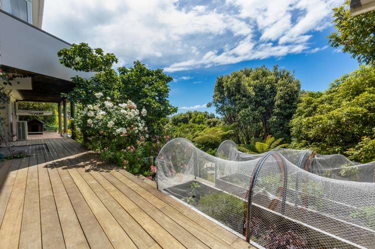 52a Fifeshire Crescent Stepneyville_16