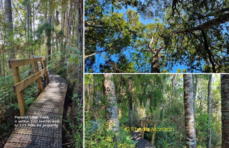 153 Pahi Road Paparoa_55