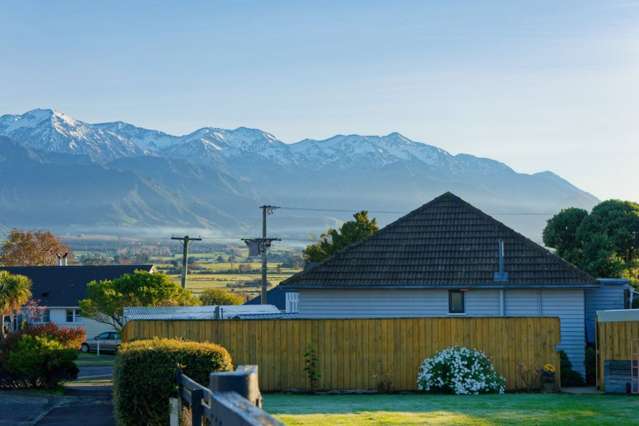 Your Kaikōura Story Starts Here