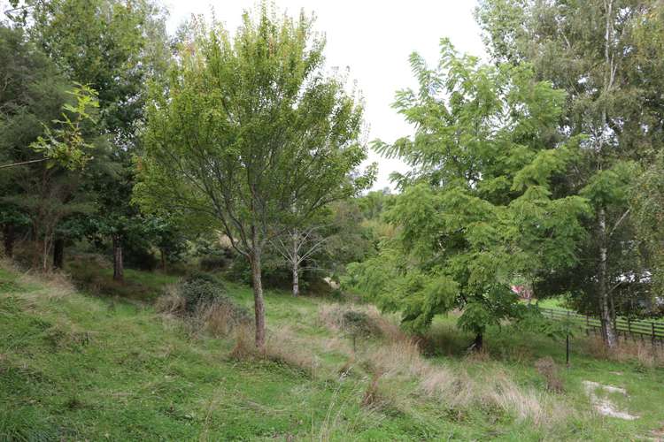 56 Dryden Street Whataupoko_15