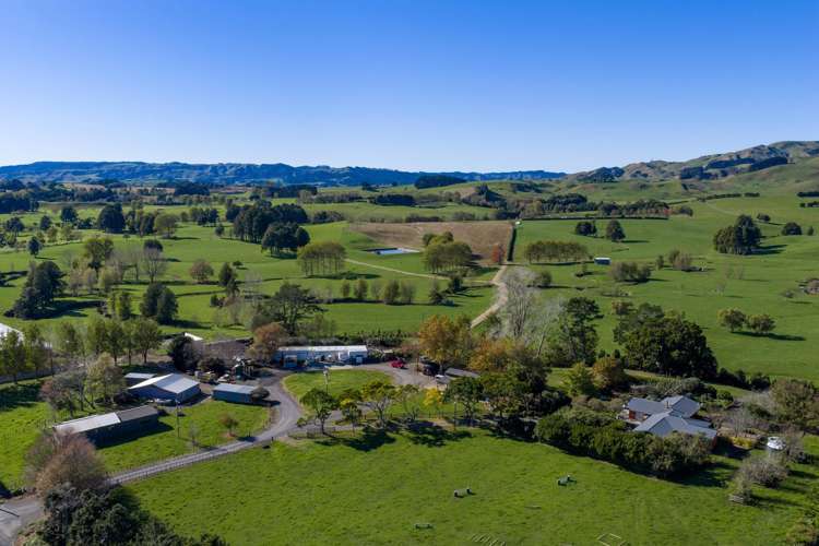 141 Te Mata Road Raglan_9
