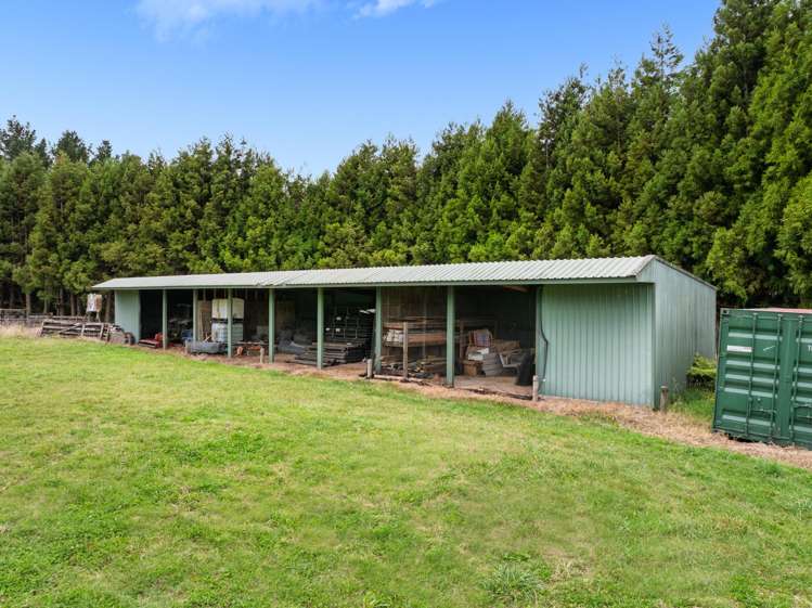 417 Mclaren Falls Road Kaimai_33