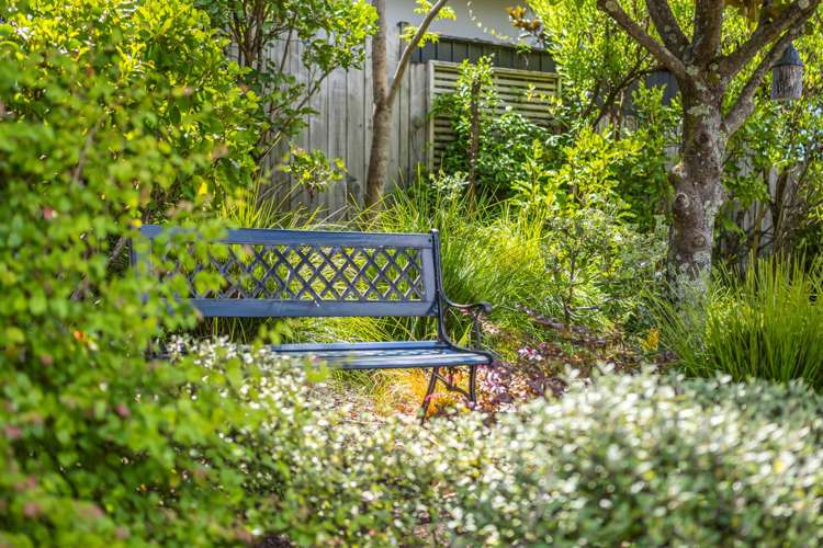 7 Intrepid Crescent Beachlands_34