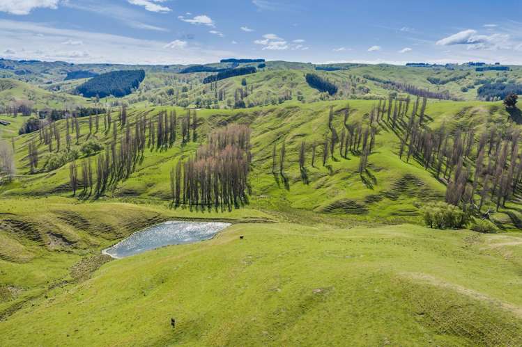 0 Awahiwi Road Wallingford_8