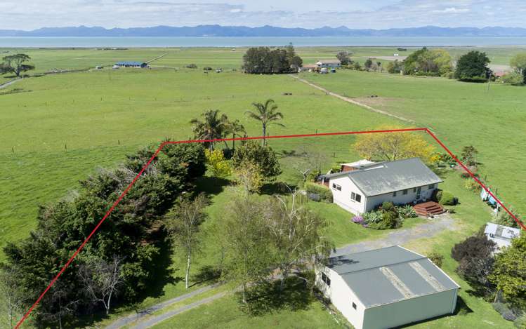 1106 Miranda Road Miranda_18