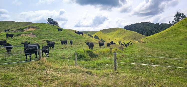 248 Lichenstein Road Okere Falls_21