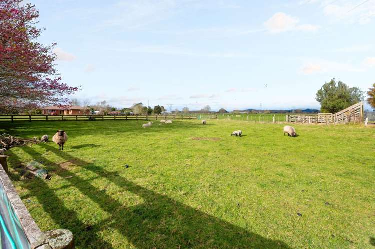 186b Holland Road Puketaha_33