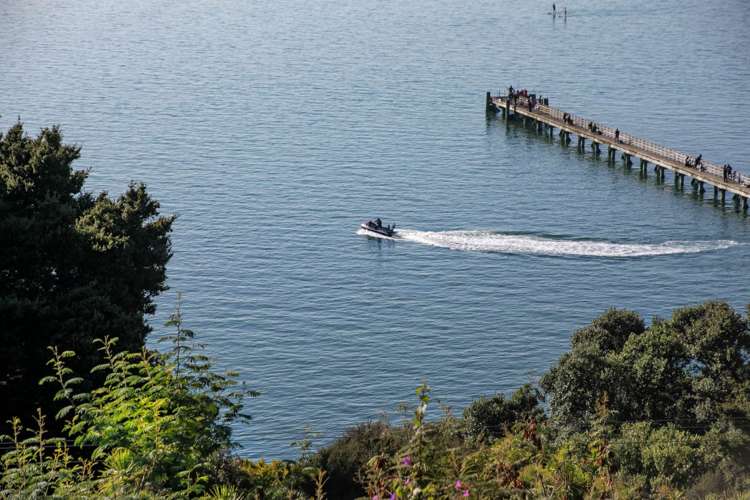 111 Cornwallis Road Cornwallis_15