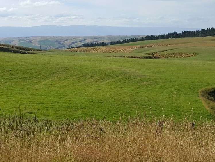 295 Wallaces Ford Road Hindon_2