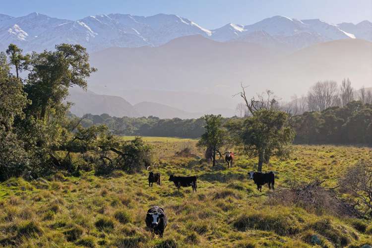 121 Lovers Lane Kaikoura_38
