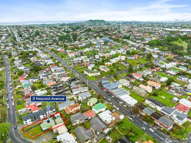 3 Haycock Avenue Mount Roskill_1