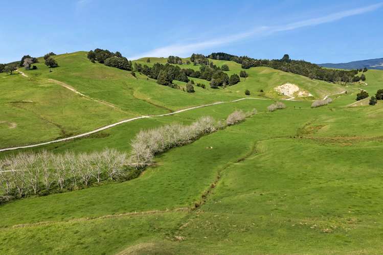 282B Callaghan Road Maromaku_27