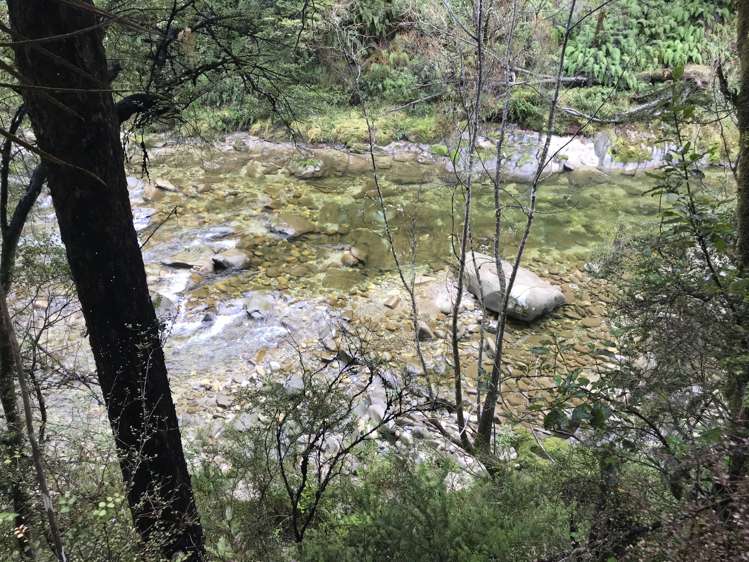 Owen Valley East Road Tasman_17