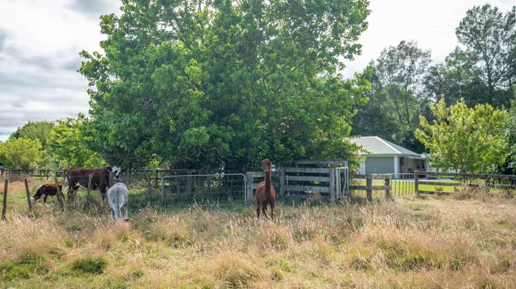 15 Golf Street Putaruru_24