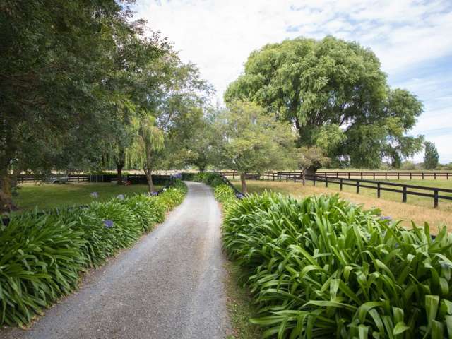 181 Kawakawa Road Feilding_1