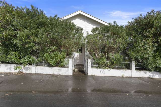 224 Richmond Road Grey Lynn_3